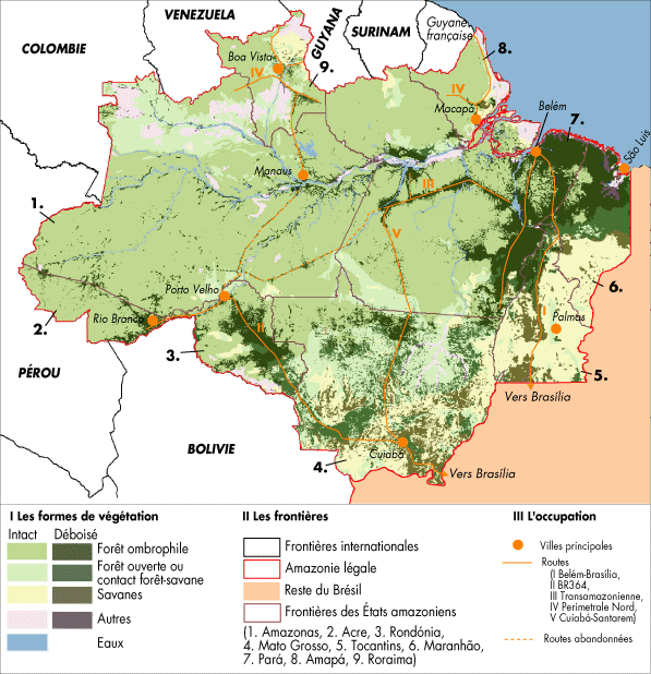 La déforestation en Amazonie brésilienne